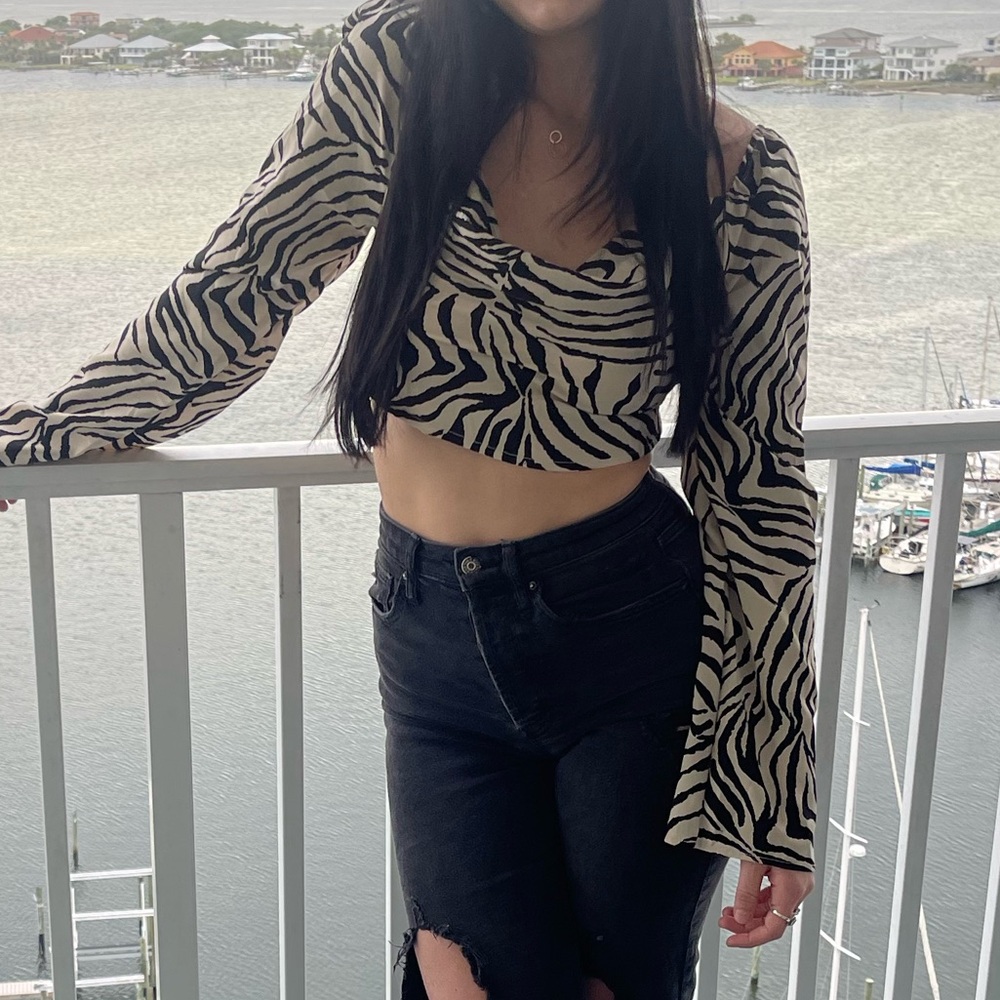Zebra Print Crop Top